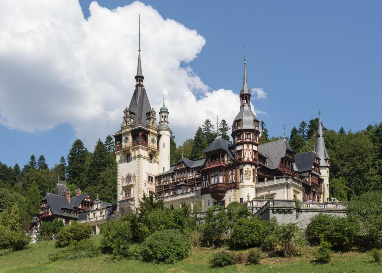 Apartament Mont Blanc Sinaia Exterior foto